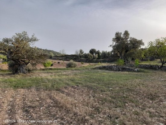 Suelo rústico en venta  en Horta de Sant Joan - Tarragona