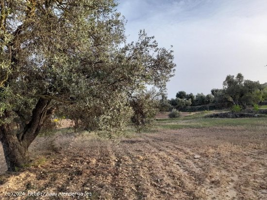 Suelo rústico en venta  en Horta de Sant Joan - Tarragona