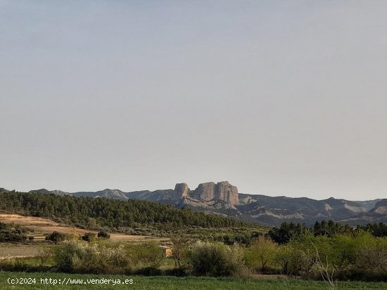 Suelo rústico en venta  en Horta de Sant Joan - Tarragona