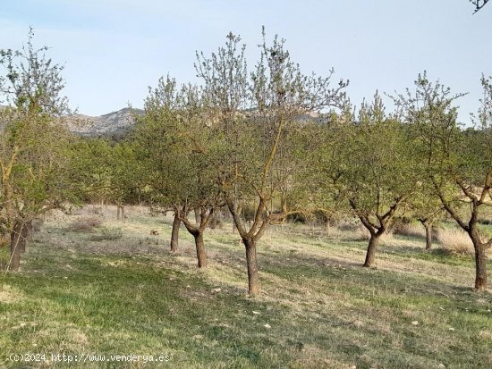 Suelo rústico en venta  en Horta de Sant Joan - Tarragona