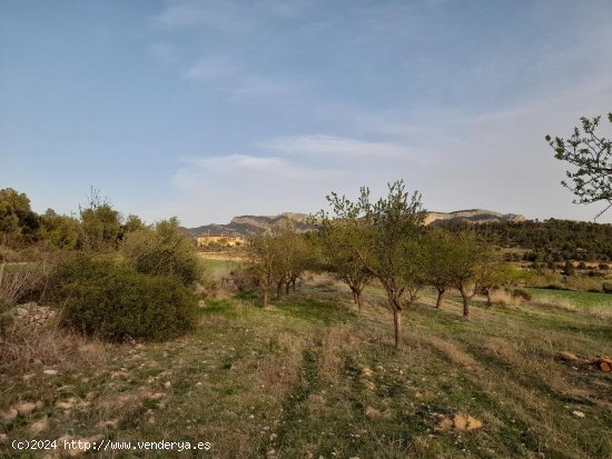 Suelo rústico en venta  en Horta de Sant Joan - Tarragona