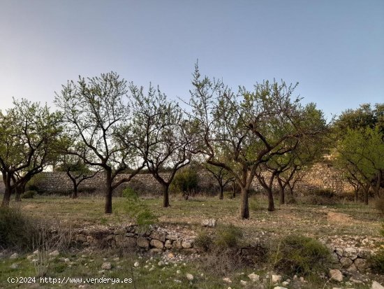 Suelo rústico en venta  en Horta de Sant Joan - Tarragona