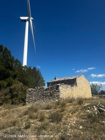 Suelo rústico en venta  en Vilalba dels Arcs - Tarragona