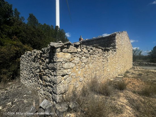 Suelo rústico en venta  en Vilalba dels Arcs - Tarragona