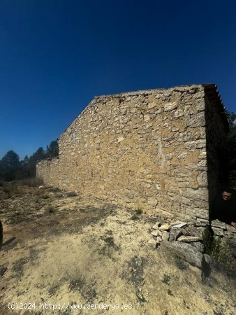 Suelo rústico en venta  en Vilalba dels Arcs - Tarragona