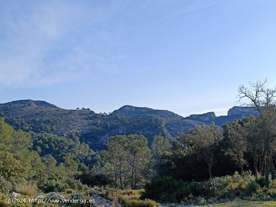  Suelo rústico en Venta en Tivissa Tarragona 