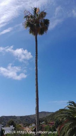 Piso en Alquiler en Palmas De Gran Canaria, Las Las Palmas TAFIRA ALTA