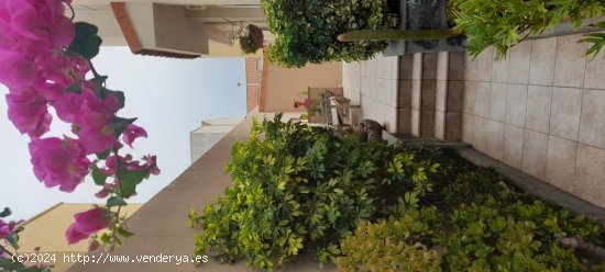 Casa-Chalet en Venta en Telde Las Palmas