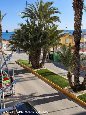  TORREVIEJA AVDA HABANERAS,3 HABS 2 BAÑOS GARAJE VISTAS MAR. 149.900 EUROS. - ALICANTE 