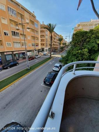 TORREVIEJA AVDA HABANERAS,3 HABS 2 BAÑOS GARAJE VISTAS MAR. 149.900 EUROS. - ALICANTE