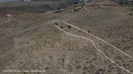  SE VENDE TERRENO EN HOYA FRÍA EN TELDE - LAS PALMAS 