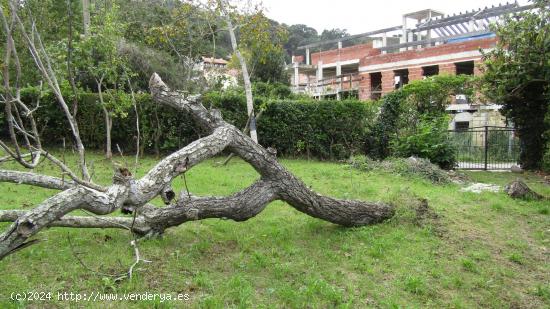 TERRENO URBANO EN PECHÓN - CANTABRIA