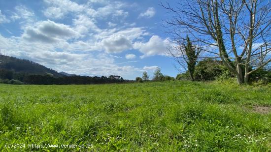 CONUNTO DE PARCELAS EN LAMADRID - CANTABRIA