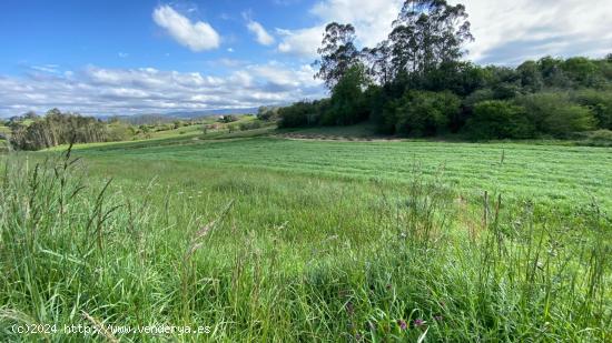 SE VENDE PARCELA RÚSTICA EN EL TEJO - CANTABRIA