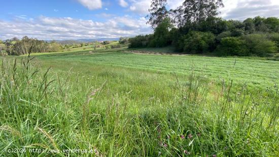 SE VENDE PARCELA RÚSTICA EN EL TEJO - CANTABRIA