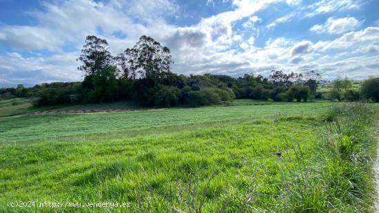 SE VENDE PARCELA RÚSTICA EN EL TEJO - CANTABRIA