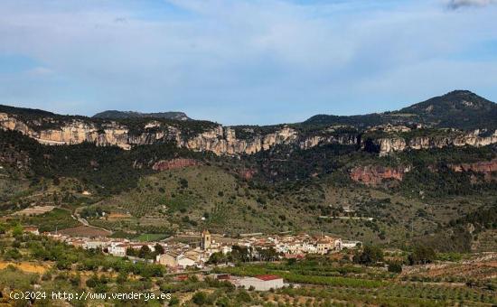 FINCAS RÚSTICAS AL PRIORAT - TARRAGONA