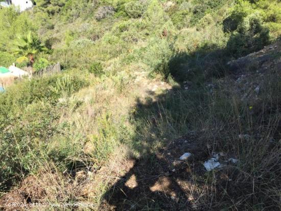 TERRENO EN SEGUR DE CALAFELL - TARRAGONA