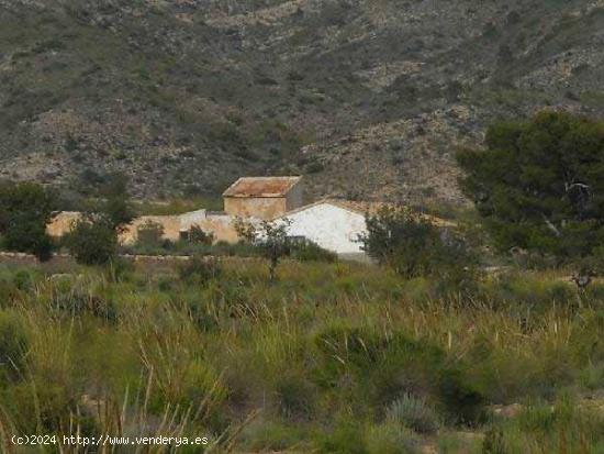 Suelo No Urbanizable (Agrícola Secano) en San Vicente del Raspeig, Alicante - ALICANTE