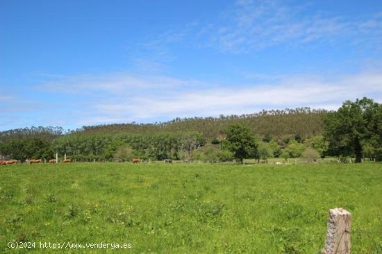 Se Vende en Mazcuerras - CANTABRIA