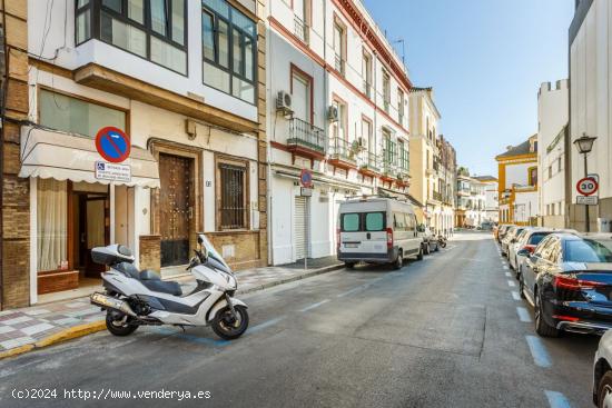 Se Alquila en Sevilla - SEVILLA