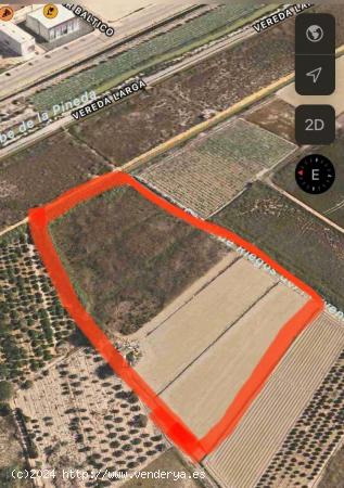 TERRENO en VENTA entre Guardamar y La Marina - ALICANTE