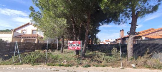 SE VENDE PARCELA URBANA EN URBANIZACION LA ARBOLEDA DE PIOZ (GUADALAJARA) - GUADALAJARA