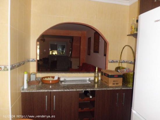 2 Casas independientes con terreno - MURCIA