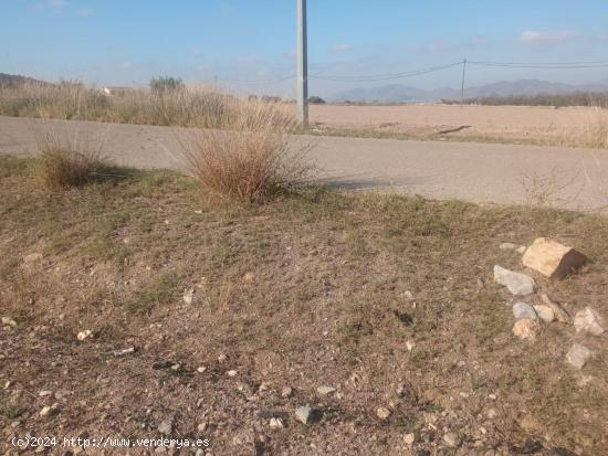 Terreno de regadío - MURCIA