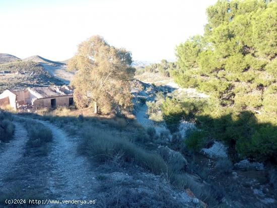 Casa en ruina con 25 hectáreas de monte - MURCIA