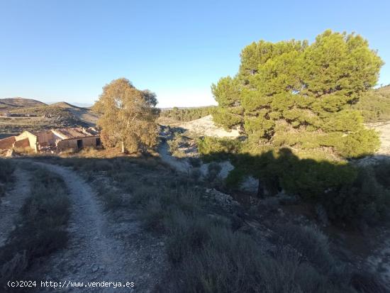 Casa en ruina con 25 hectáreas de monte - MURCIA