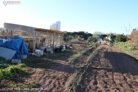 Conjunto de parcelas en Canet de Berenguer (zona gasolinera) - VALENCIA