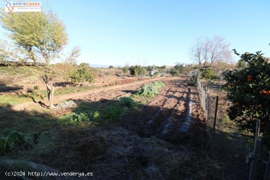 Conjunto de parcelas en Canet de Berenguer (zona gasolinera) - VALENCIA