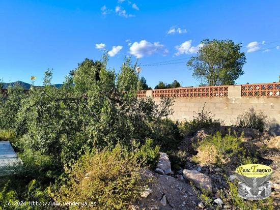 OPORTUNIDAD ! CASA INDEPENDIENTE REFORMADO PARA ENTRAR A VIVIR. Negociable - TARRAGONA