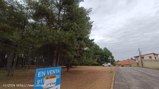 Terrenos en Venta en Urbanización LAS LOMAS, VALDEFRESNO, León - LEON