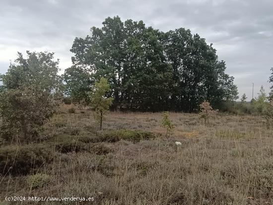 Descripción de parcelas urbanas en urbanización Estrella de Izar - LEON