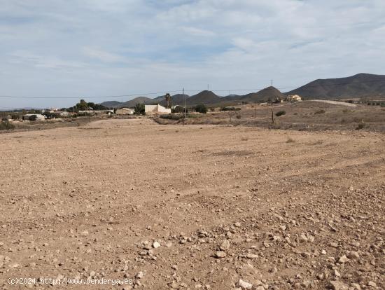 Parcela con licencia y proyecto en Lorca - Zona Purias - MURCIA