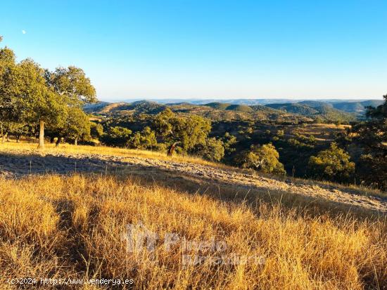 MARAVILLOSA FINCA DE 30 HA. EN EL PARQUE NATURAL SIERRA NORTE SEVILLA - SEVILLA