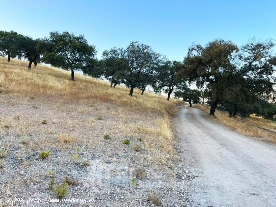 MARAVILLOSA FINCA DE 30 HA. EN EL PARQUE NATURAL SIERRA NORTE SEVILLA - SEVILLA