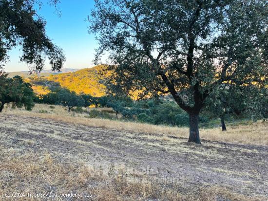 MARAVILLOSA FINCA DE 30 HA. EN EL PARQUE NATURAL SIERRA NORTE SEVILLA - SEVILLA