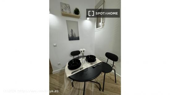 Apartamento entero de 1 habitaciones en Madrid - MADRID