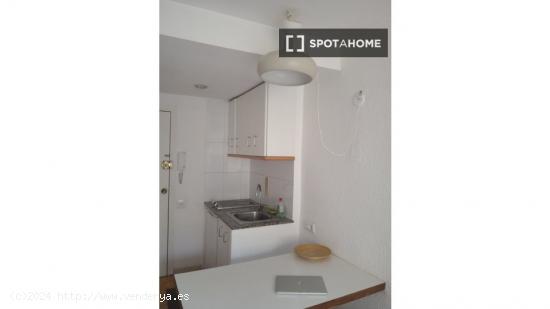 Apartamento entero de 1 dormitorio en Barcelona - BARCELONA