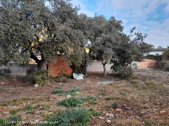 TERRENO UBANIZABLE - BARCELONA