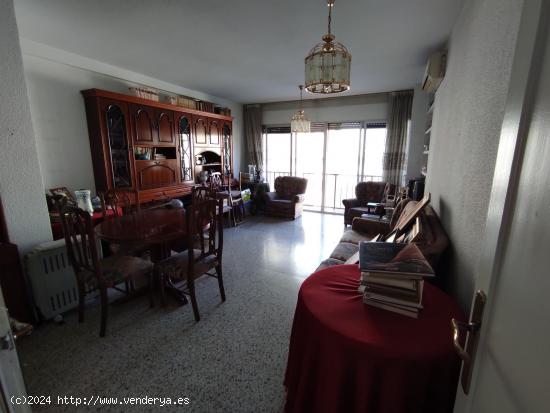 VIVIENDA EN SAN MIGUEL - MURCIA