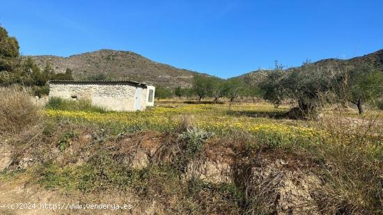 Terreno en Tallante - MURCIA