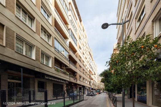 !!Pisazo en Plaza de Gracia con 240 metros!! - GRANADA