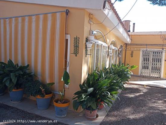 CAMPO EN PETRER ZONA EL CID CON PISCINA - ALICANTE