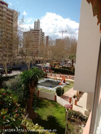 SE VENDE UN PISO EN LEVANTE, BENIDORM - ALICANTE