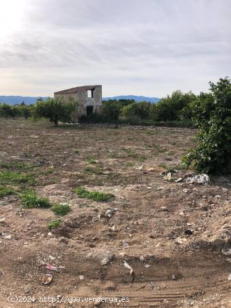 Parcela rustica al lado de la ucam - MURCIA