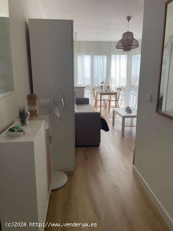 ESTUDIO EN ALQUILER VACACIONAL, TORREMOLINOS - Torremolinos